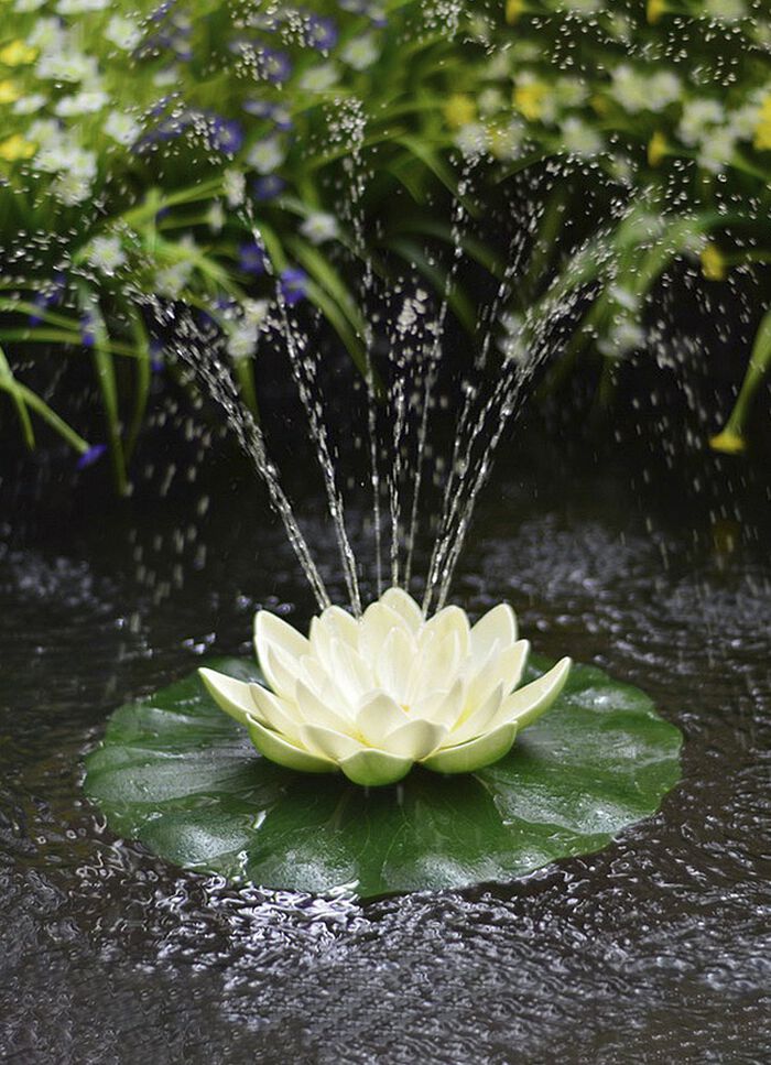 Solar-Seerose in verschiedenen Farben WEISS