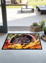 Fußmatte mit Igel-Motiv BUNT