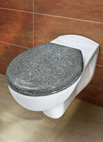 WC-Sitz mit Absenk-Automatik 