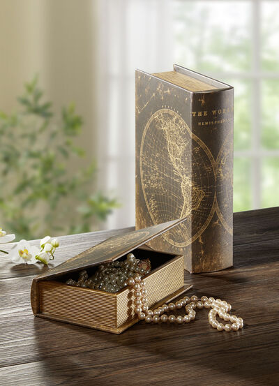 Aufbewahrungsbox Buch, 2er-Set 