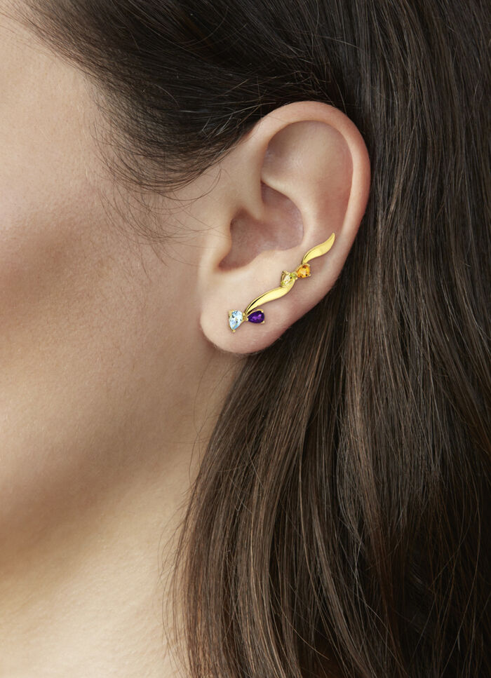 Wunderschöne Ohrhaken 