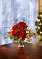 Poinsettia/Hortensie-Arrangement in Keramikpokal 