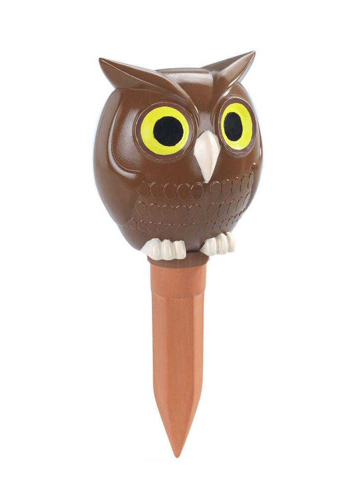 Jumbo-Bew&auml;sserungs-Eule 