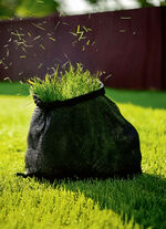 RuWi Akku-Trimmer mit Fangnetz 