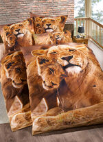 Bettwäsche-Garnitur in Renforcé-Qualität 