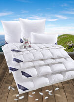 Hochwertige Daunendecken-Serie von Spessarttraum WEISS