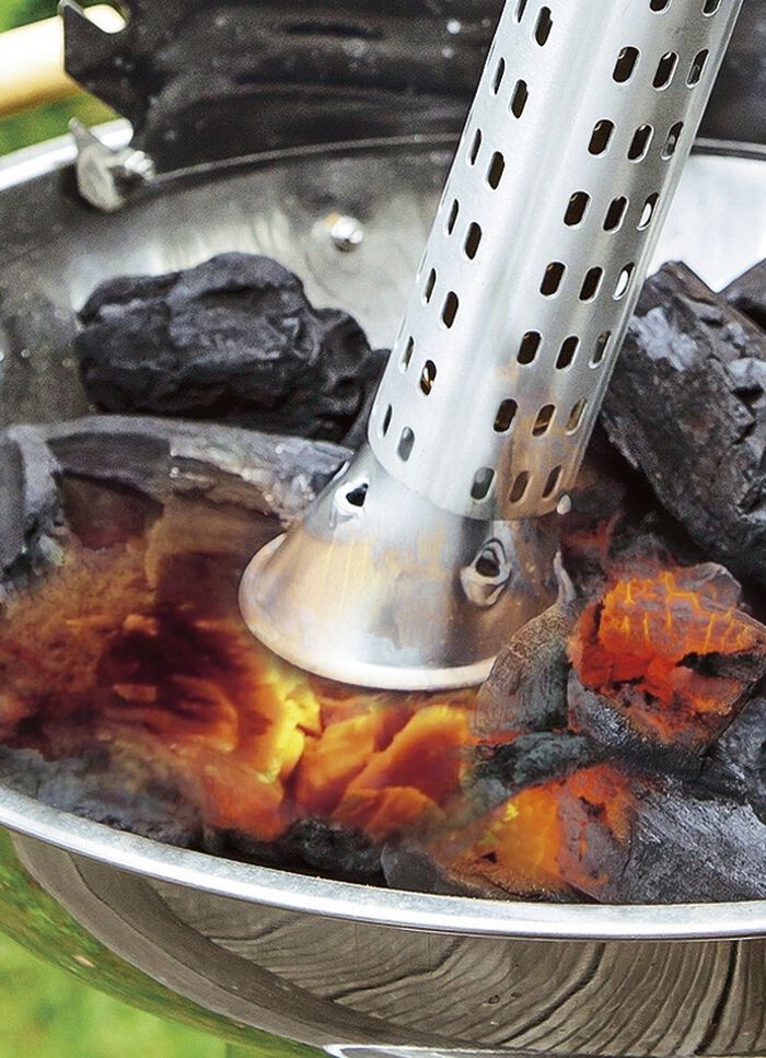 Unkrautvernichter "Thermoflamm Bio Electro&ldquo; 