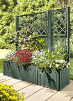 Pflanzkasten in Rattan-Optik GR&Uuml;N