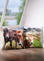 Kissenbezug in Samtoptik BUNT