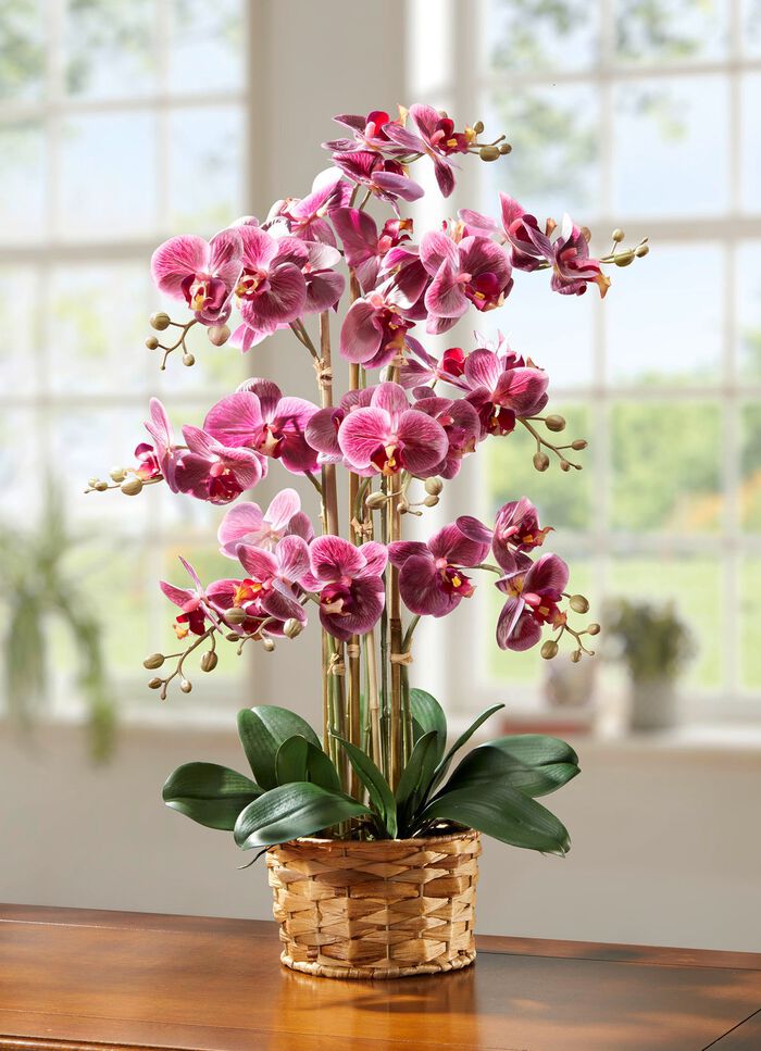 Orchidee in Korb aus Wasserhyazinthe 