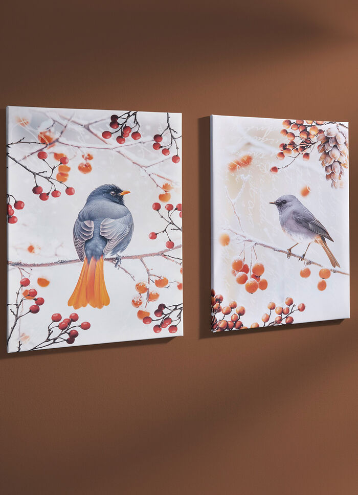 Bild Vogel des Jahres 2025 Hausrotschwanz auf Leinwand BUNT