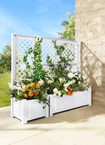 Pflanzkasten mit Spalier aus robustem Kunststoff 