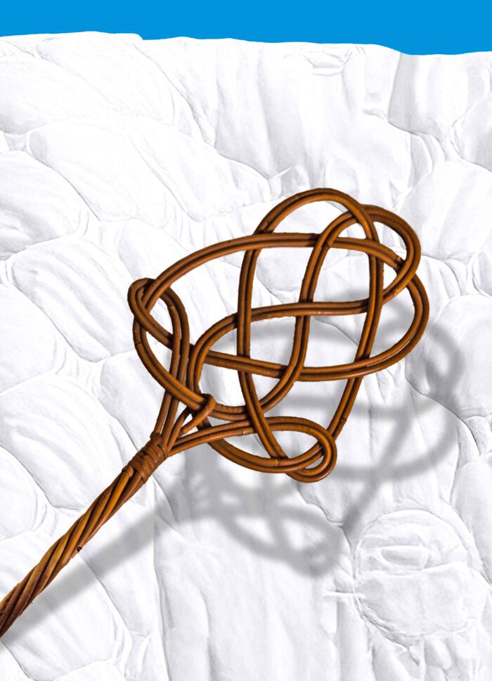 Milbensauger &ndash; vernichtet 99,9% aller Milben, Bakterien und Keime 