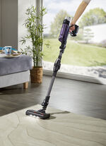 Rowenta RH2038 Akku-Handstaubsauger 