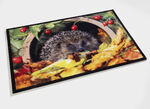 Fußmatte mit Igel-Motiv BUNT