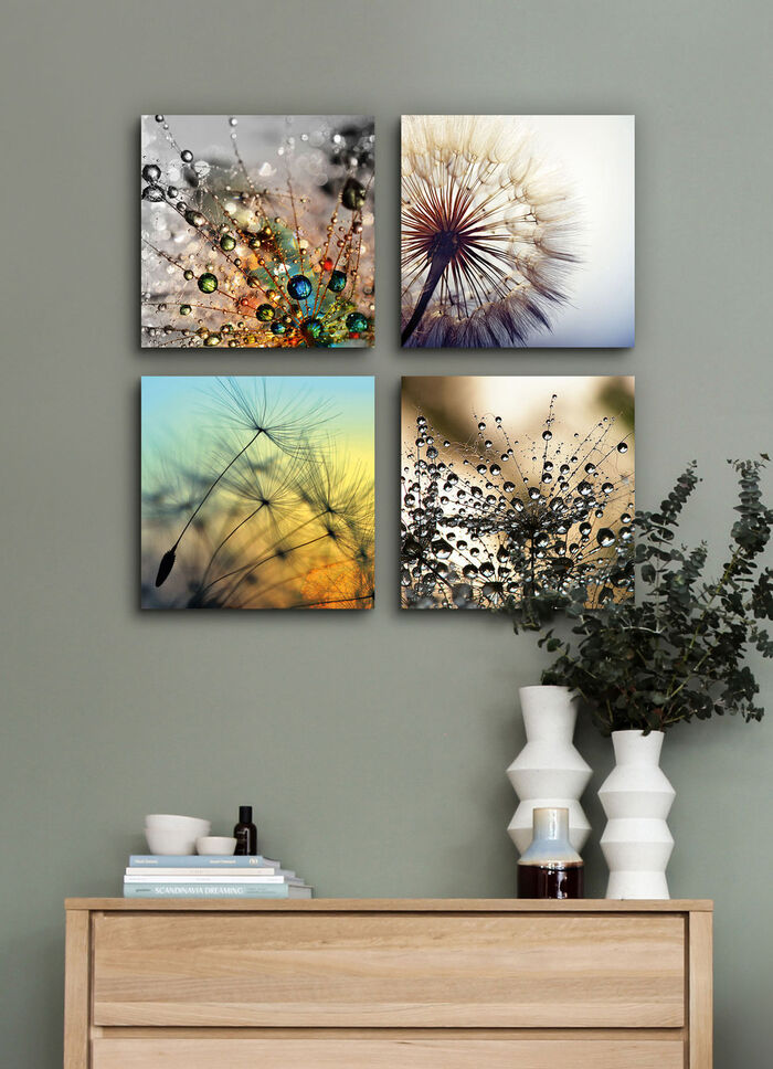 Bilder-Set, 4-teilig, mit Pusteblumen-Motiven 
