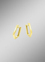 Glänzende Klappcreolen 