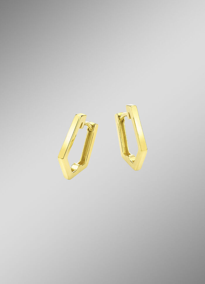 Glänzende Klappcreolen 