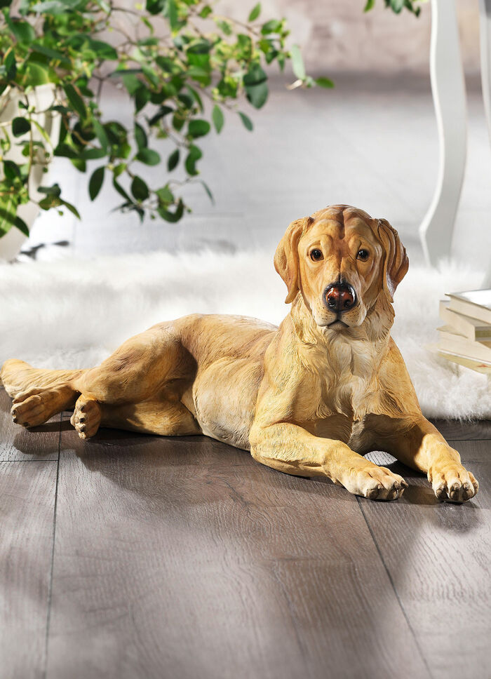 Labrador in imposanter Gr&ouml;&szlig;e 