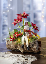 Beleuchtetes Poinsettia-Arrangement 