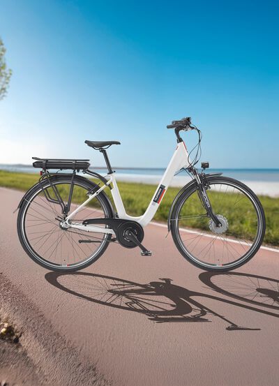 City-E-Bike RC836 von TELEFUNKEN 