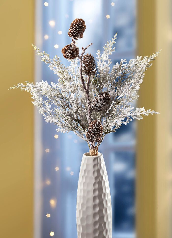 Thuja-Zweig mit echten Zapfen 