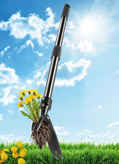 EASYmaxx Unkrautstecher 