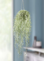 Naturgetreuer Moosh&auml;nger 