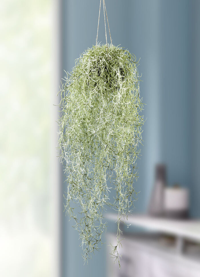 Naturgetreuer Moosh&auml;nger 