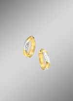 Gl&auml;nzende Creolen in Bicolor 