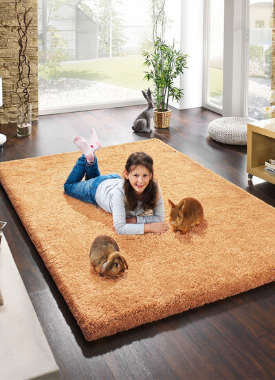 Pflegeleichte Brücken und Teppiche 