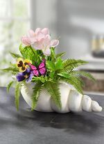 Stiefm&uuml;tterchen-Arrangement in Schale 