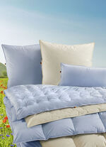 Erstklassige Daunenkissen-Sonderserie aus dem Schwarzwald 