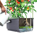 Rankkasten City Jungle 