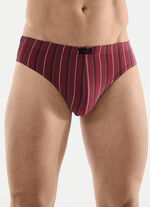 Sechserpack Slips mit Streifendessin 