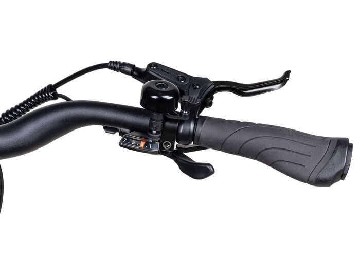 E-Trekking-Bike X-Road 5.2 von SAXONETTE 