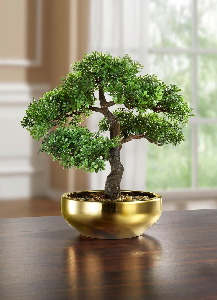 Bonsai in Keramikschale 