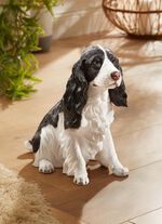 Cocker-Spaniel  