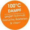 Logo_100C_Dampf