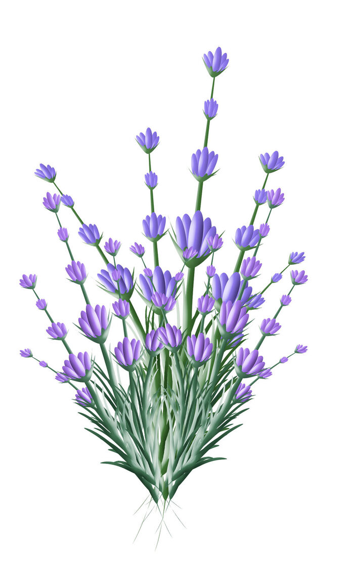 Verbandspflaster HELLBLAU