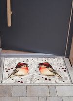 Fu&szlig;matte mit rutschhemmender R&uuml;ckseite BUNT