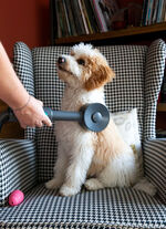 Livington "Sense IQ" Tierhaarbürsten-Set 