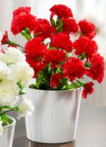 Naturgetreu Deko-Nelke aus hochwertigem Kunst- und Textilmaterial 