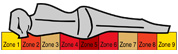 Logo_9_Zonen_System