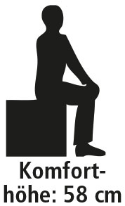 Logo_Komforthoehe_58cm_gespiegelt
