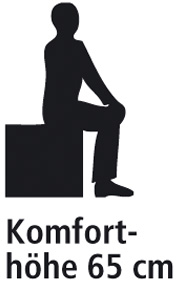 Logo_Komforthoehe_65cm