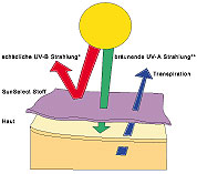 Logo_SunselectUV.jpg Logo_SunselectUV.jpg