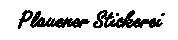 Plauener_Stickerei_detail Plauener_Stickerei_detail
